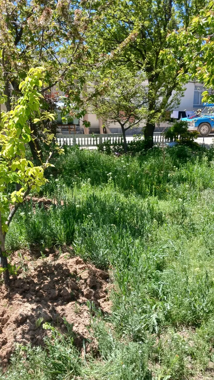 زمین درپردیسان