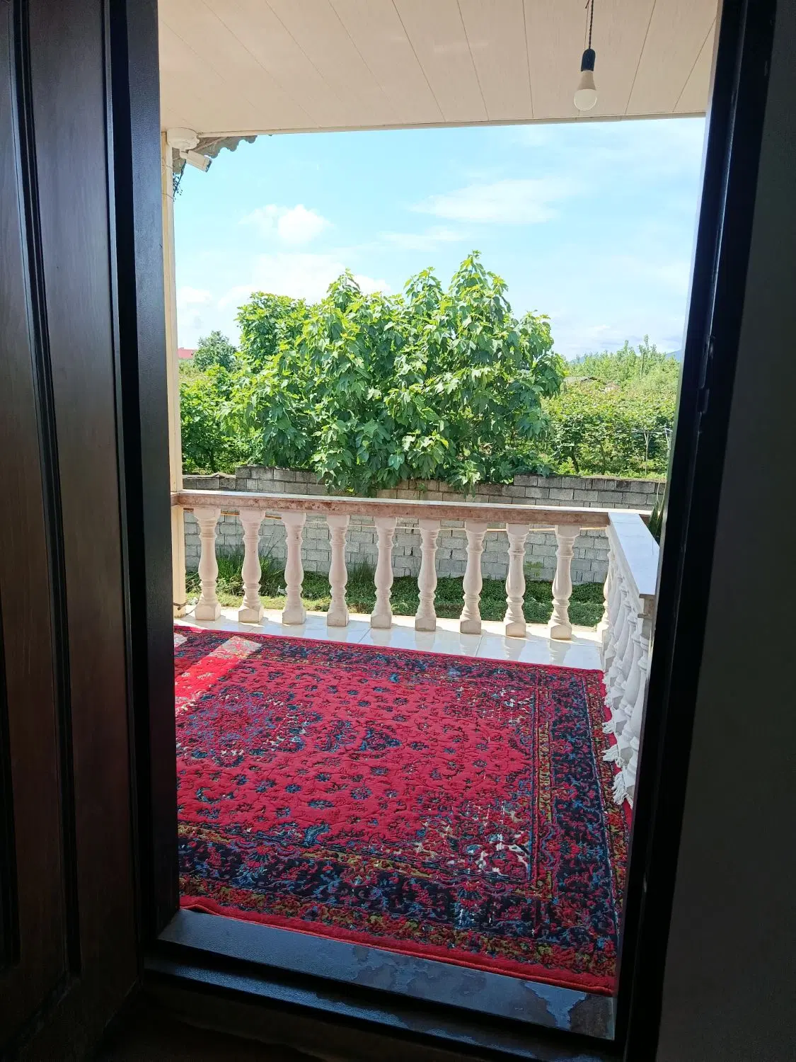 سوییت رودخانه نزدیک جنگل و دریا
