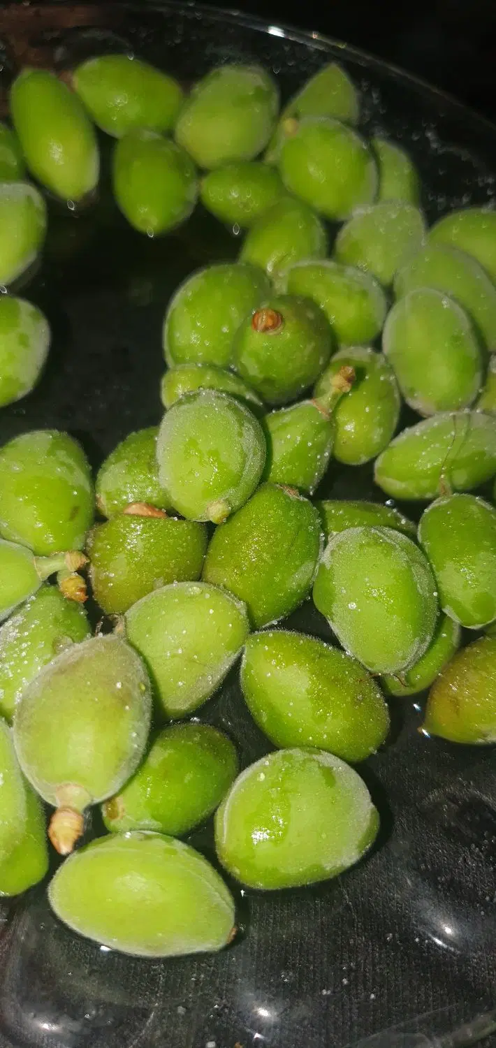 فروش باغ