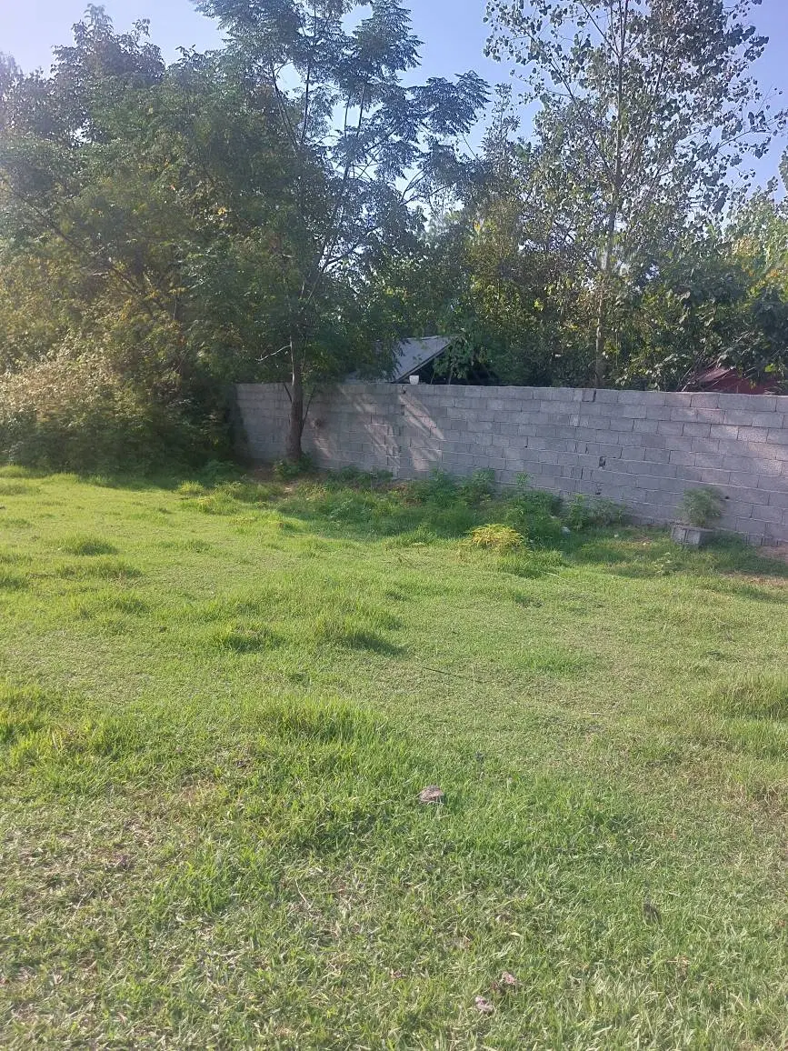 229مترزمین