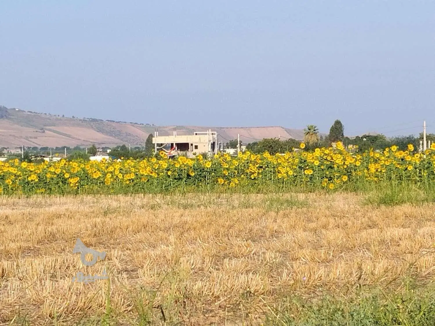 زمین واقع در روستای مهد پشت تالار ایل