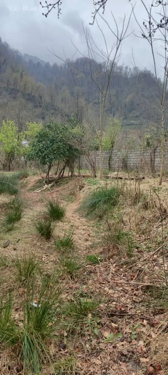 خانه ویلایی