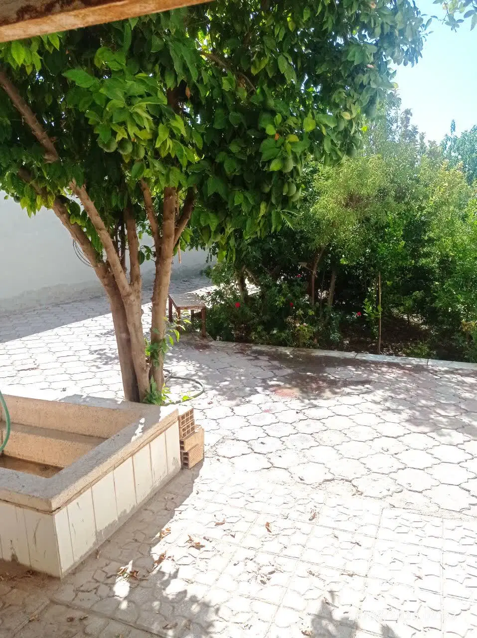 خونه شاهدیه نزدیک دروازه قرآن