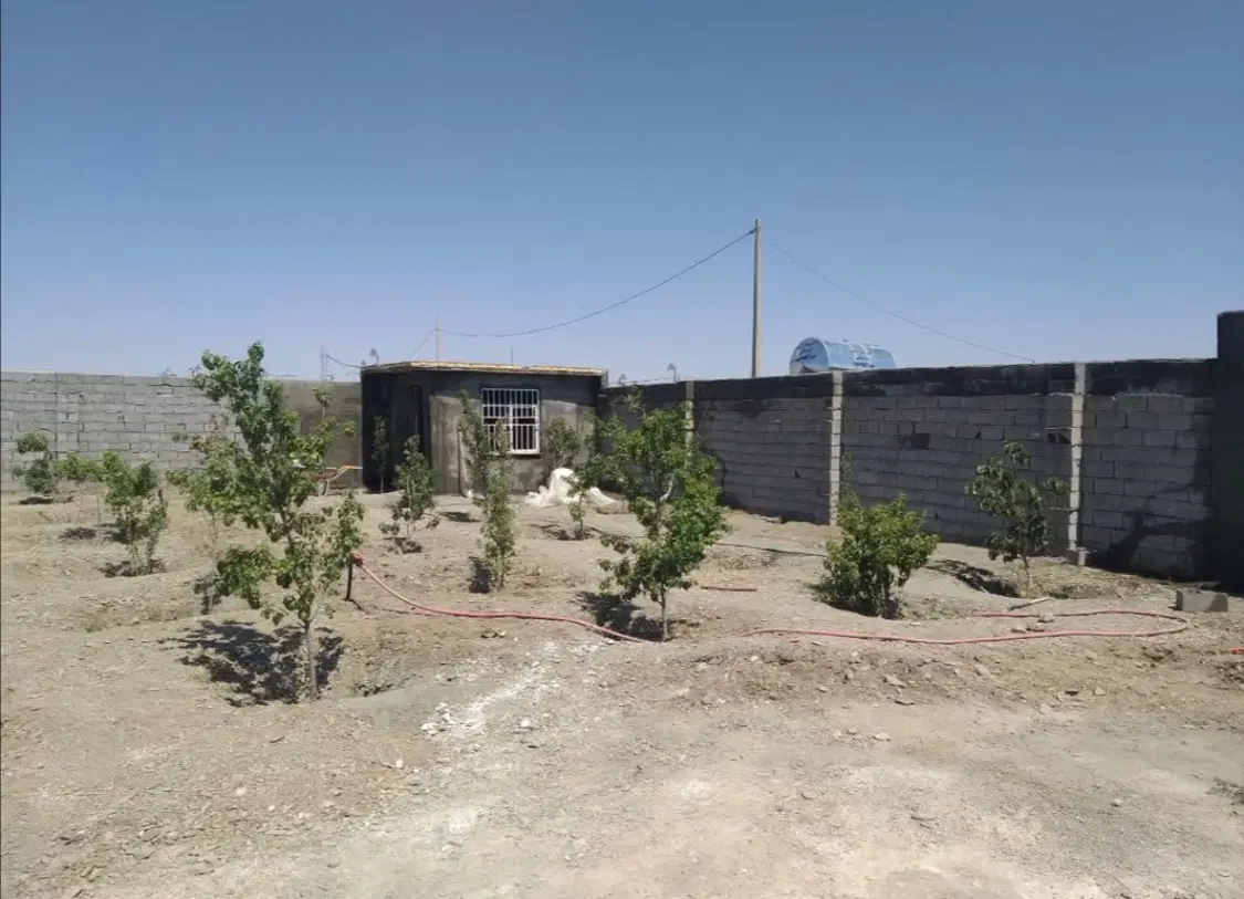 زمین باغی کاهو،احرار،ویلا ،باغچه