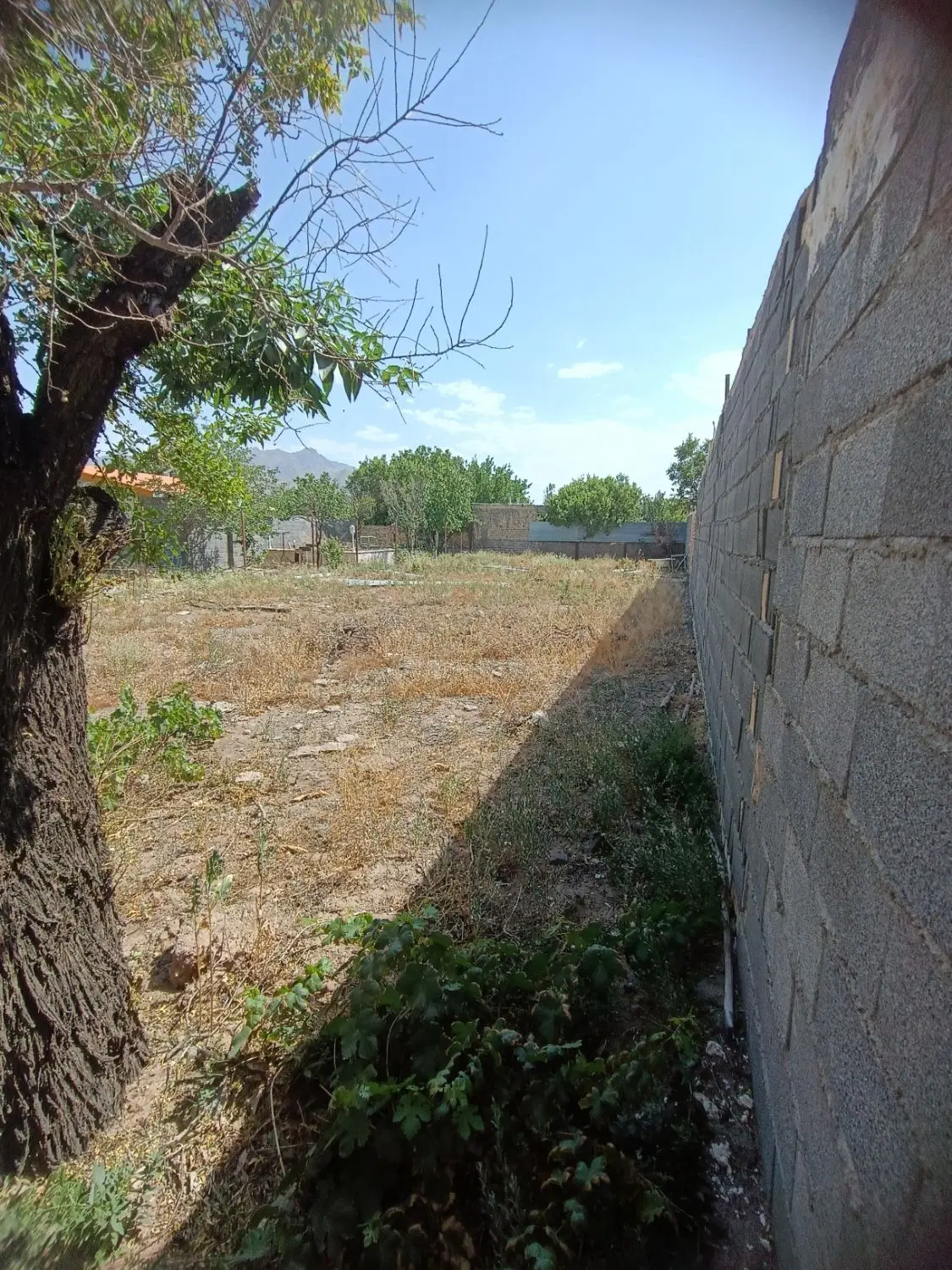 باغچه 400متر دیزیجان