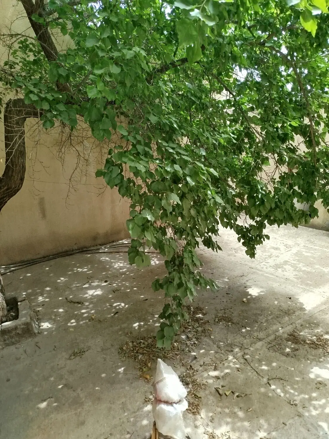 فروش منزل ویلایی دونبش مرکز شهر