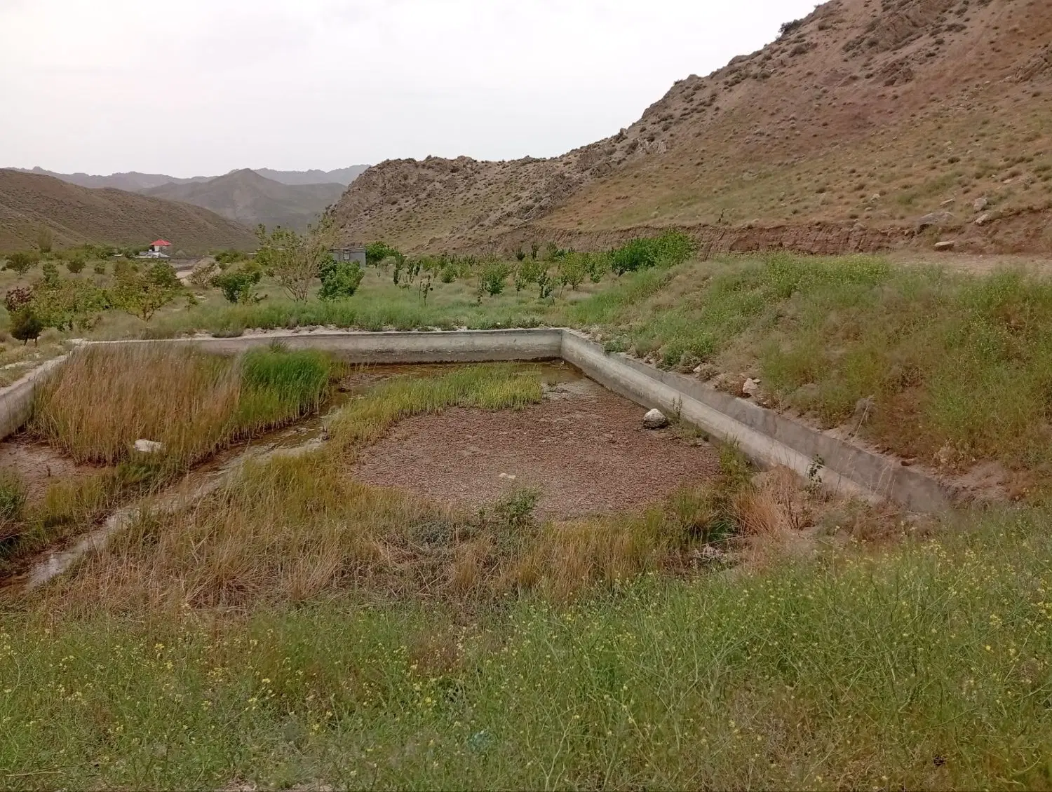 فروش باغ تفریحی