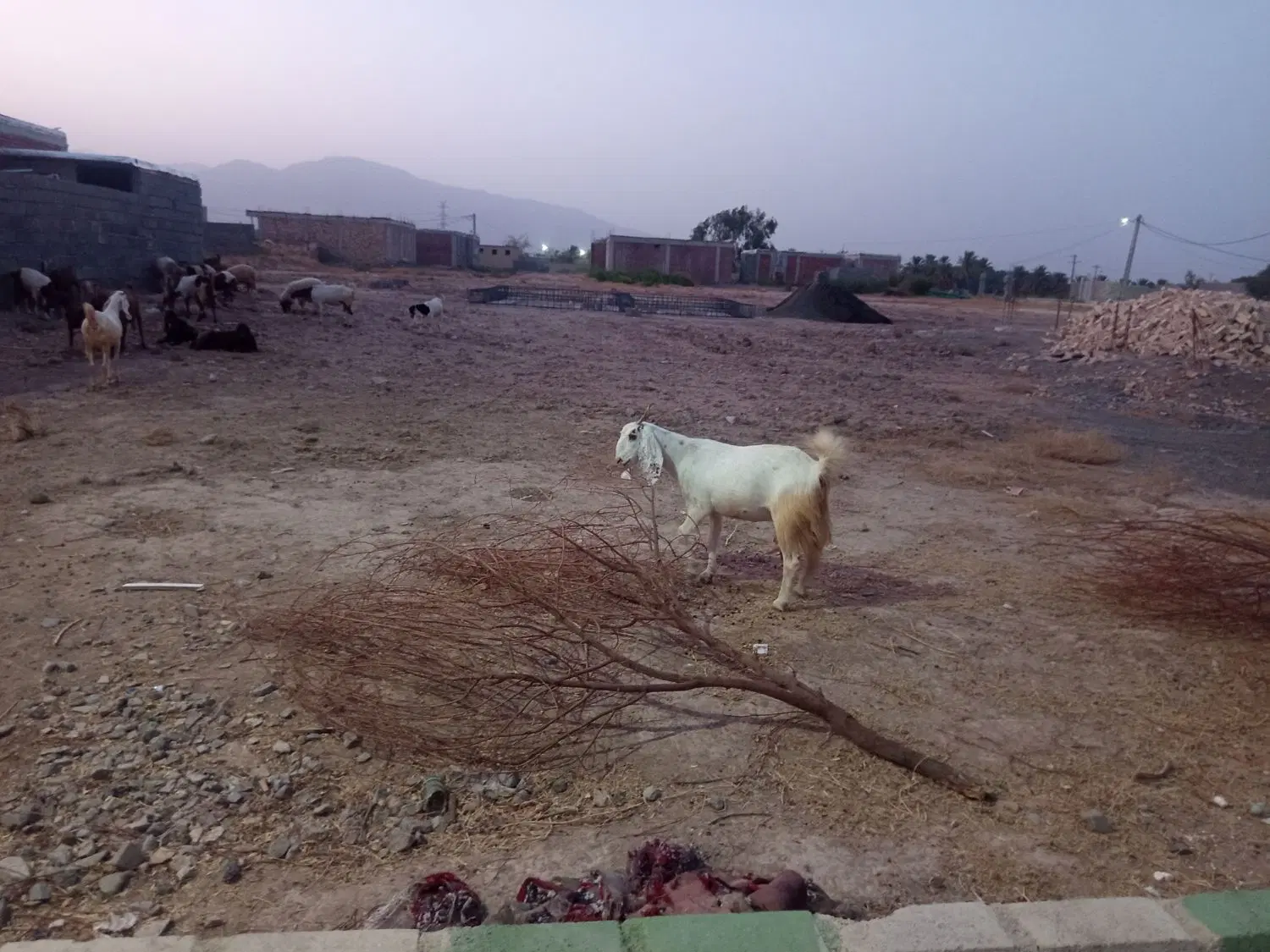 زمین فروشی