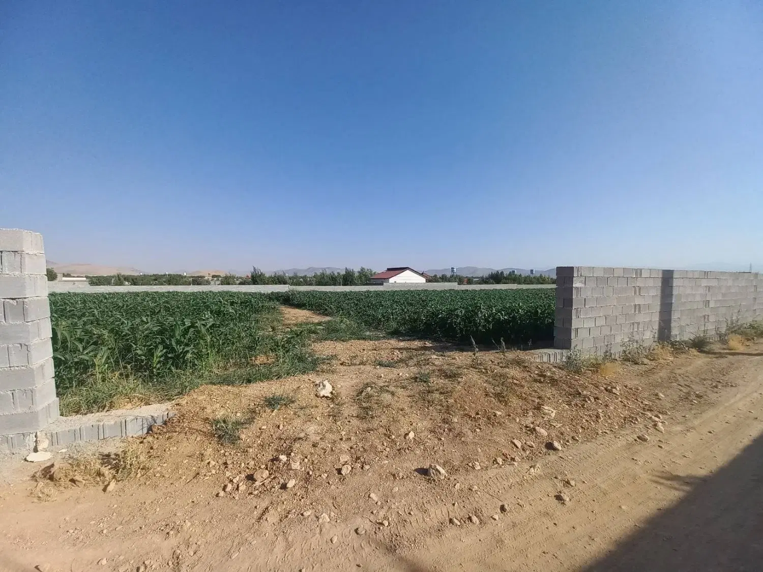 زمین در بهترین منطقه هماشهر سپیدان