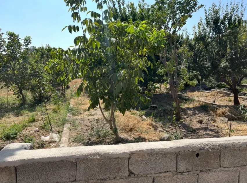 ۳۹۰ متر باغچه سند تک برگ