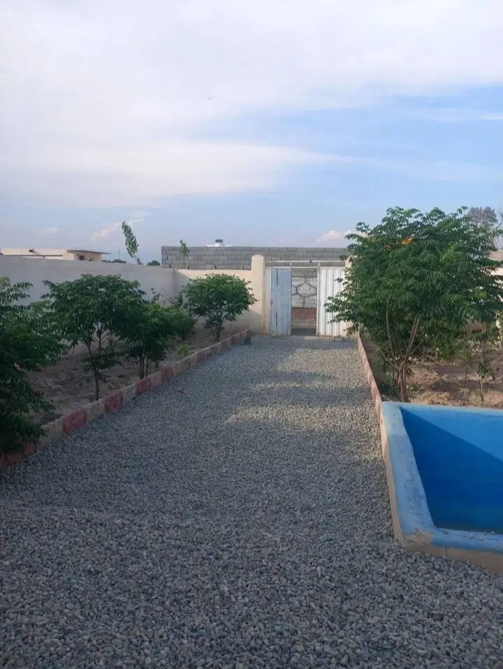 باغچه ۲۰۰ متری سند تک برگ سبز