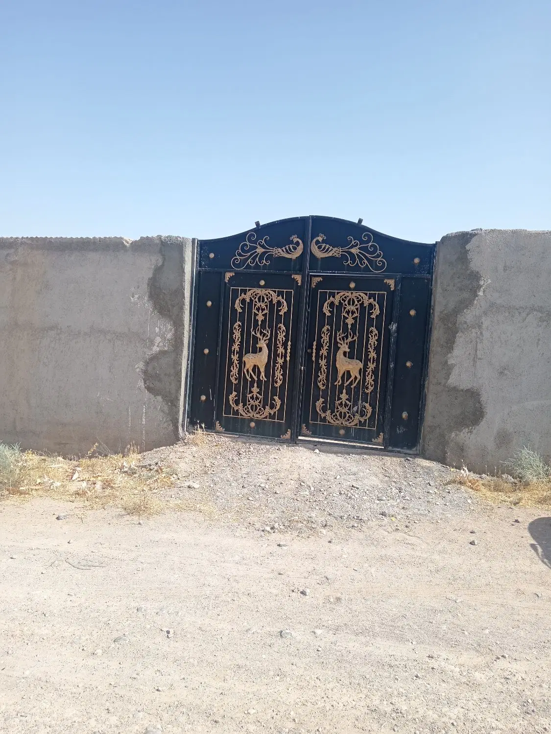 باغ نیمه آماده وعالی برای سرمایه گذاری