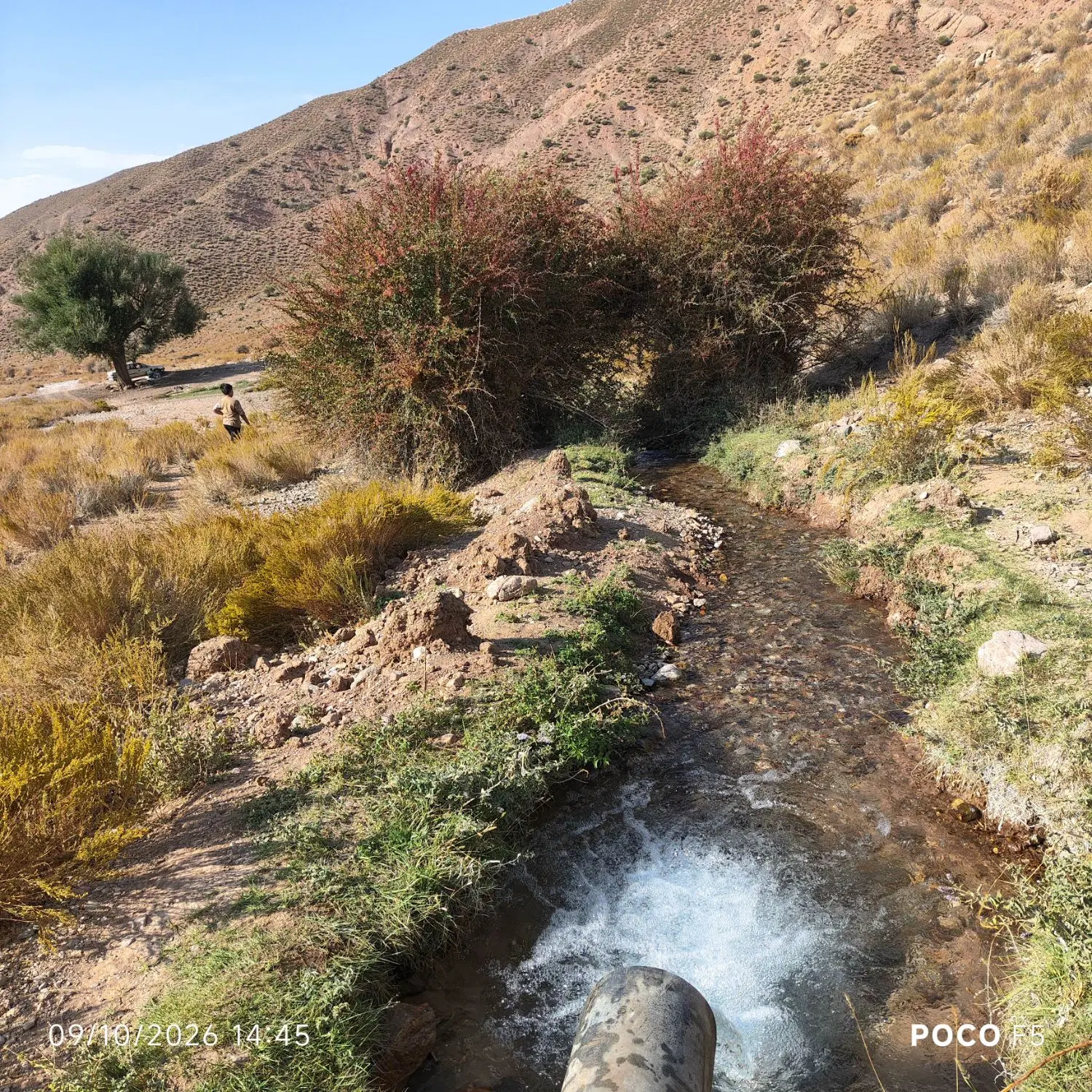 اتاق اجاره ایی بدون کرایه