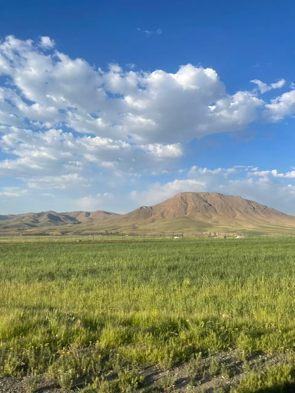 زمین