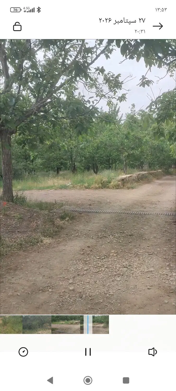 باغ گیلاس آلبالو