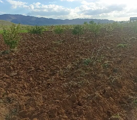 باغ ۴۰۰۰ متری بعد باغشهر علوم پزشکی