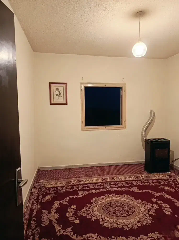 مجتمع شیروانی