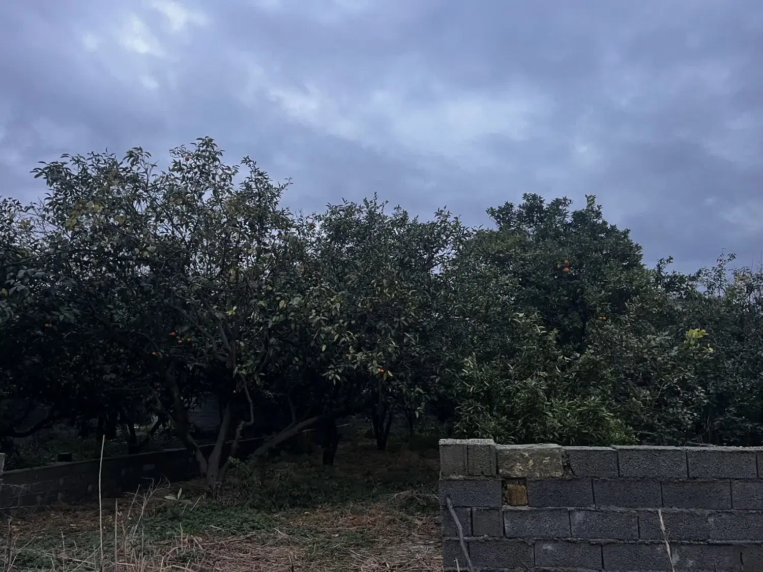 زمین خوش قواره و سند دار ۲۲۵ متری