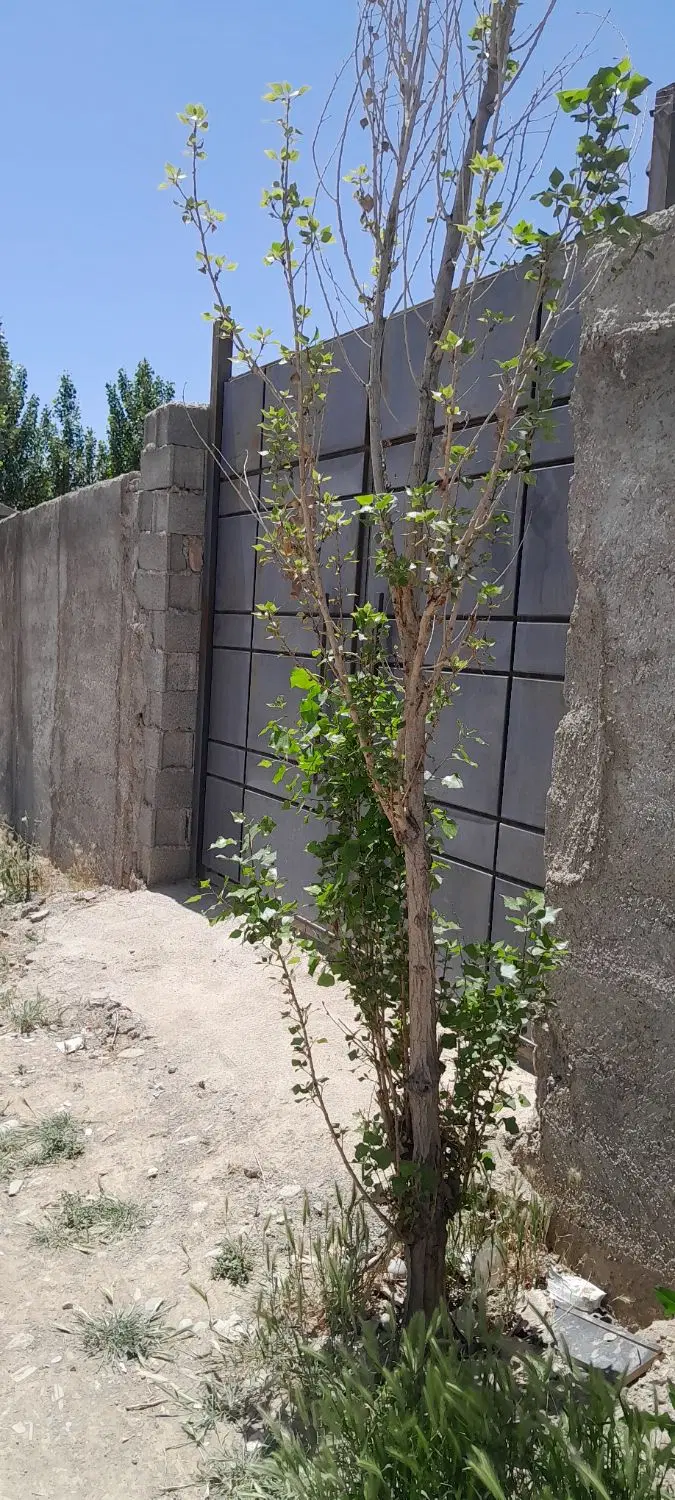 زمین ویلای ملک آبادچهار دیواری ۲۰۰متر املاک توحید