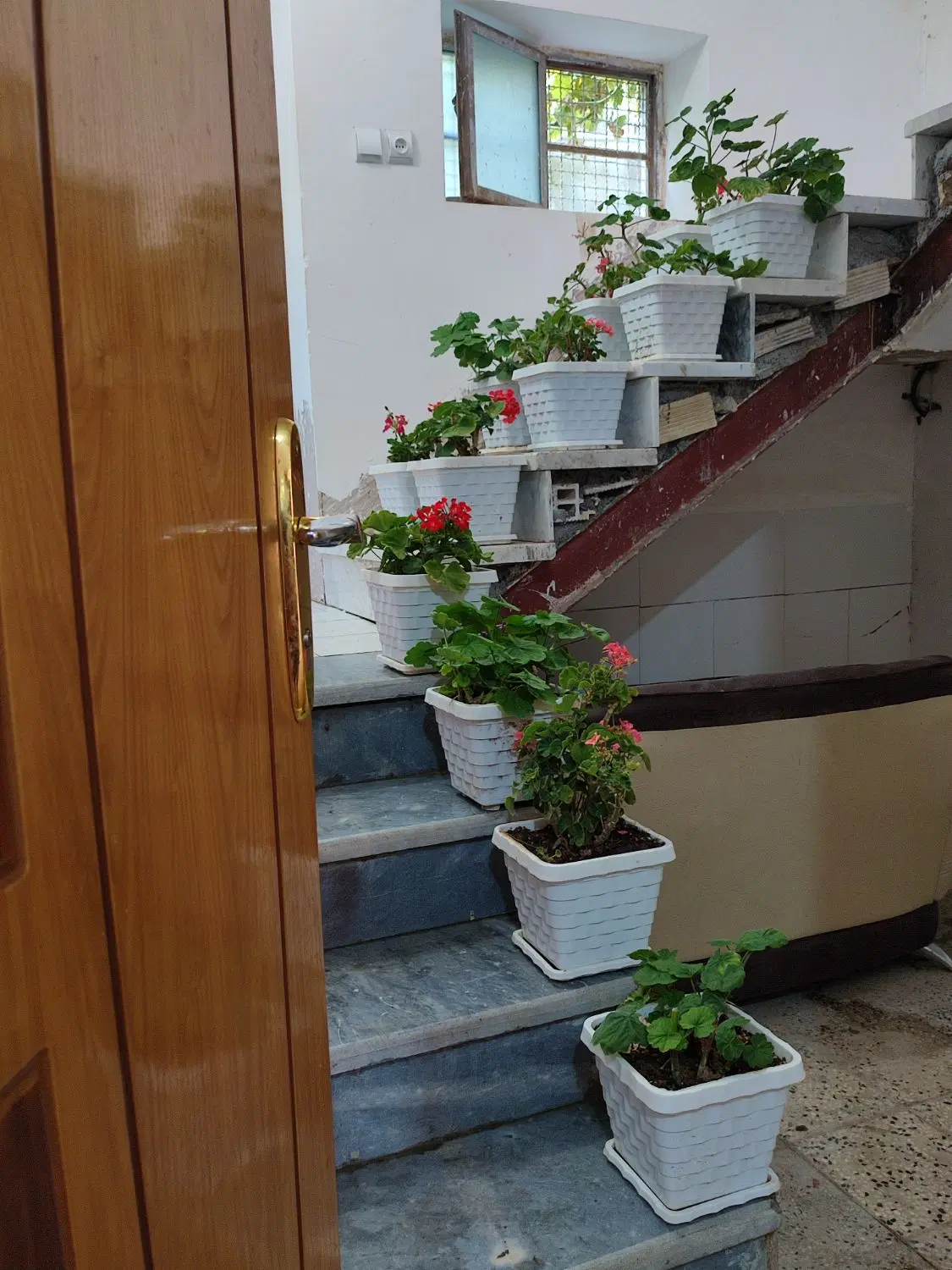 سوییت رویایی دلچسب