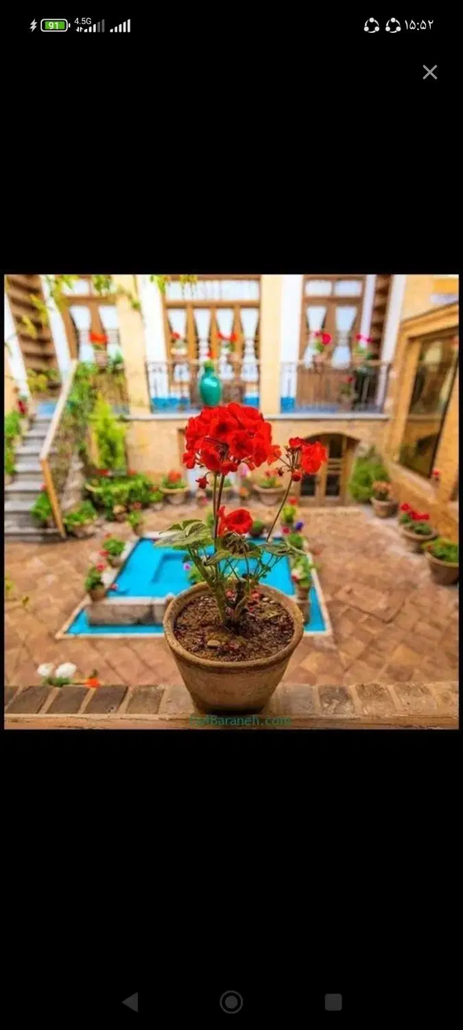 همخونه