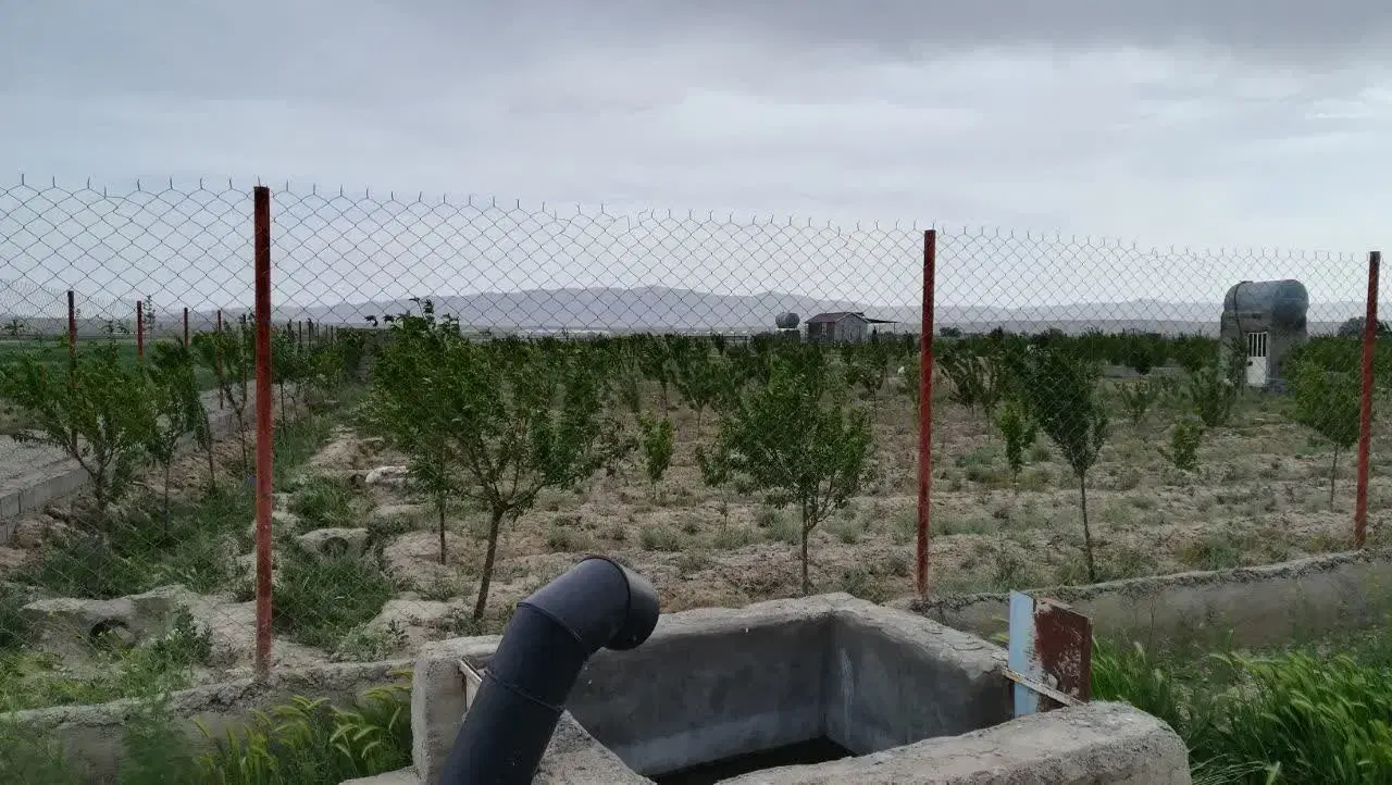 باغچه و زمین