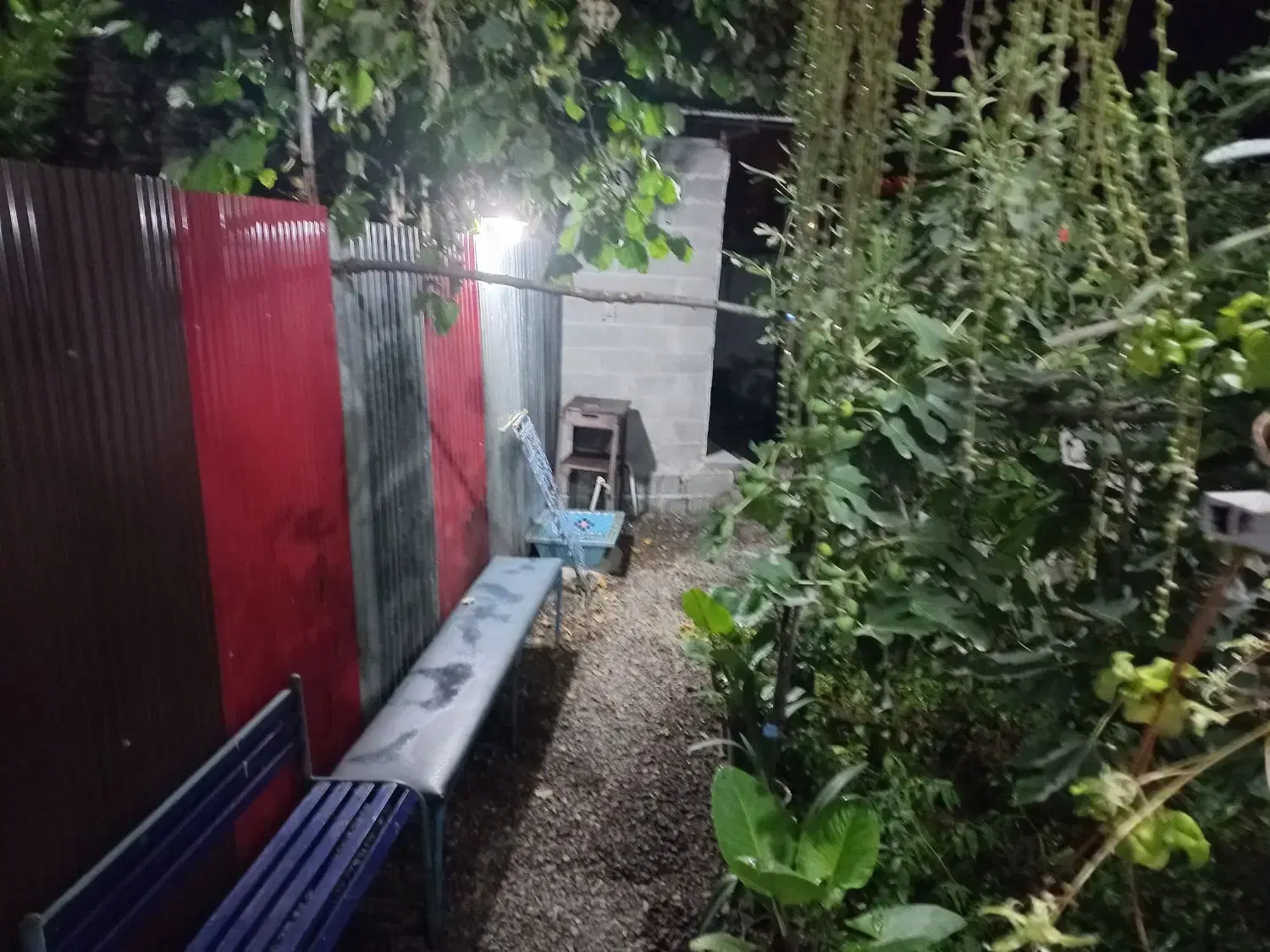 سوئیت اجاره