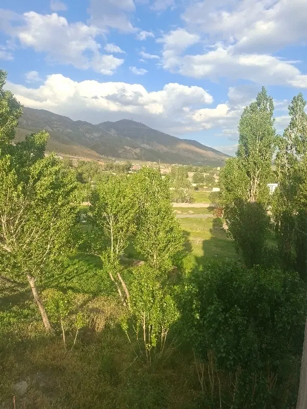 زمین ویلایی. خوش قیمت. در سعید اباد