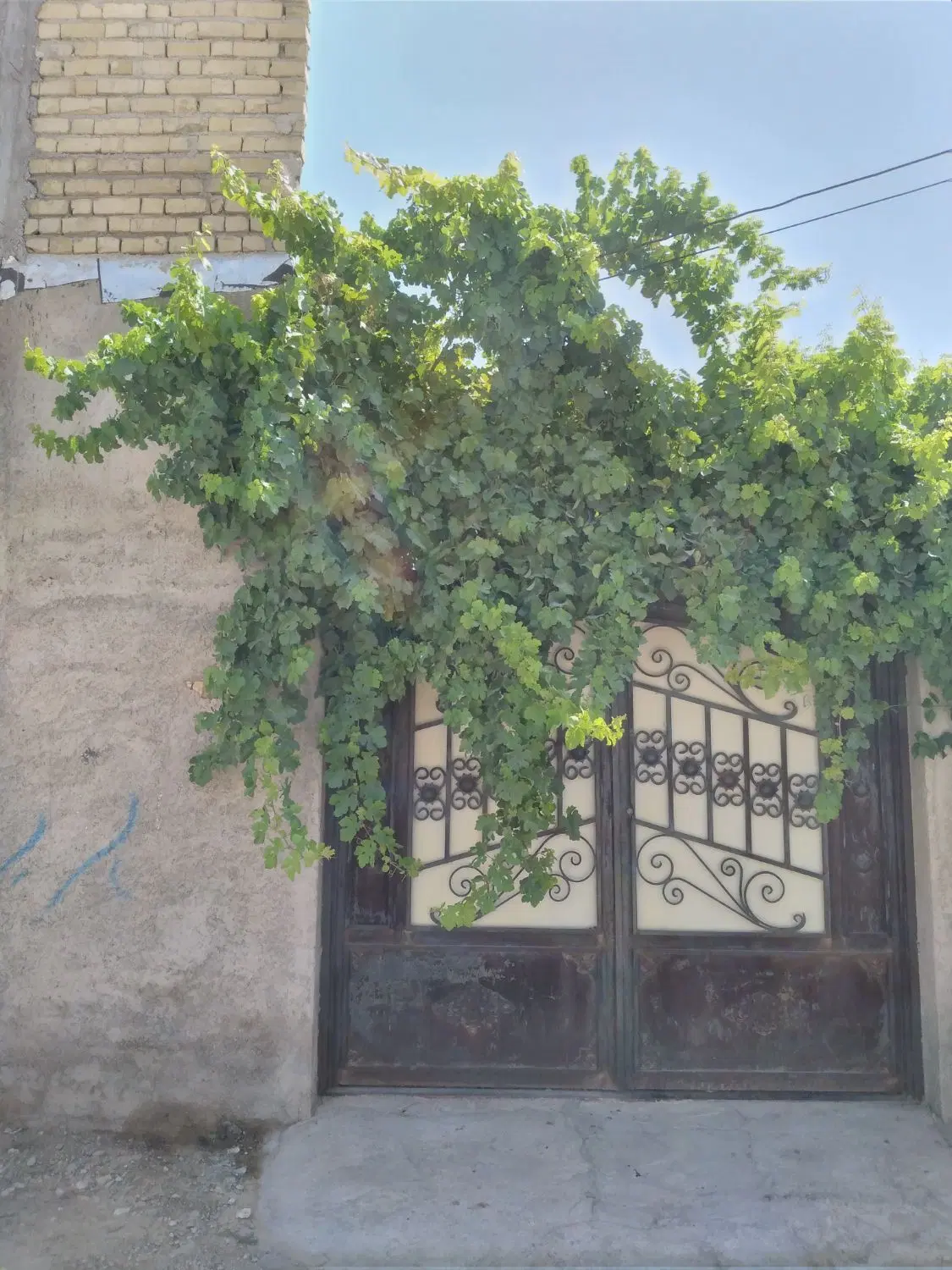 منزل فروشی