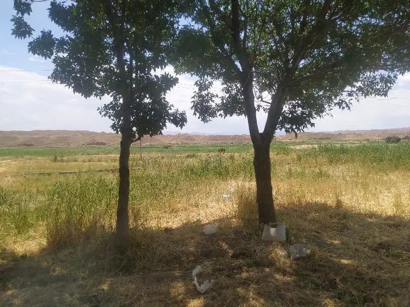 ۲۰۰ متر زمین سپاه