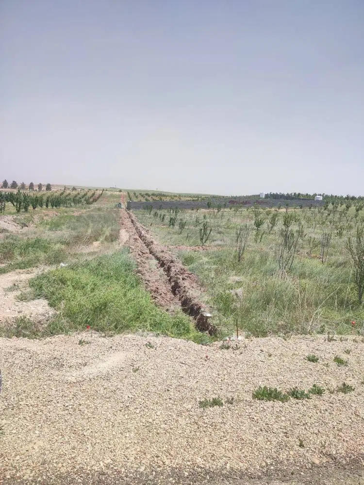فروش زمین باغ
