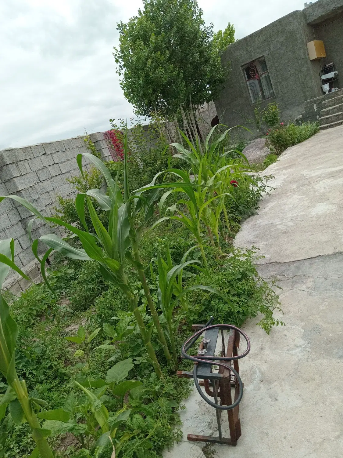 خانه ی ویلایی