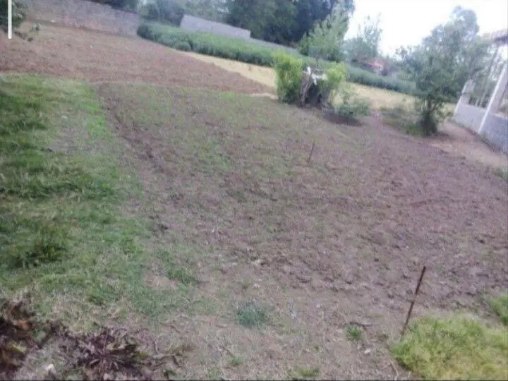 زمین مسکونی ۳۸۲ متر روستای معاف انزلی