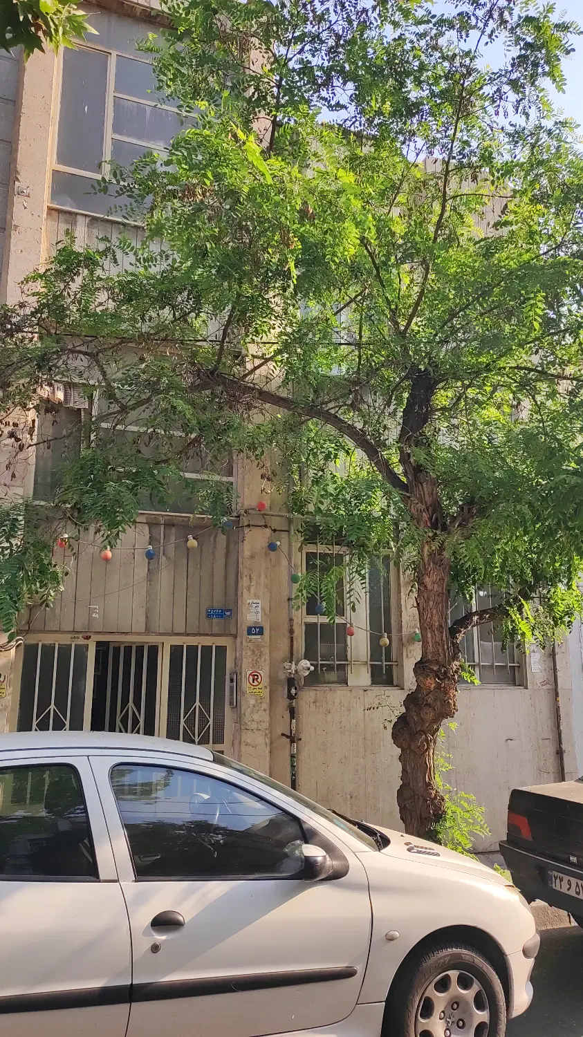 کلنگی نبرد شمالی جهت جنوبی