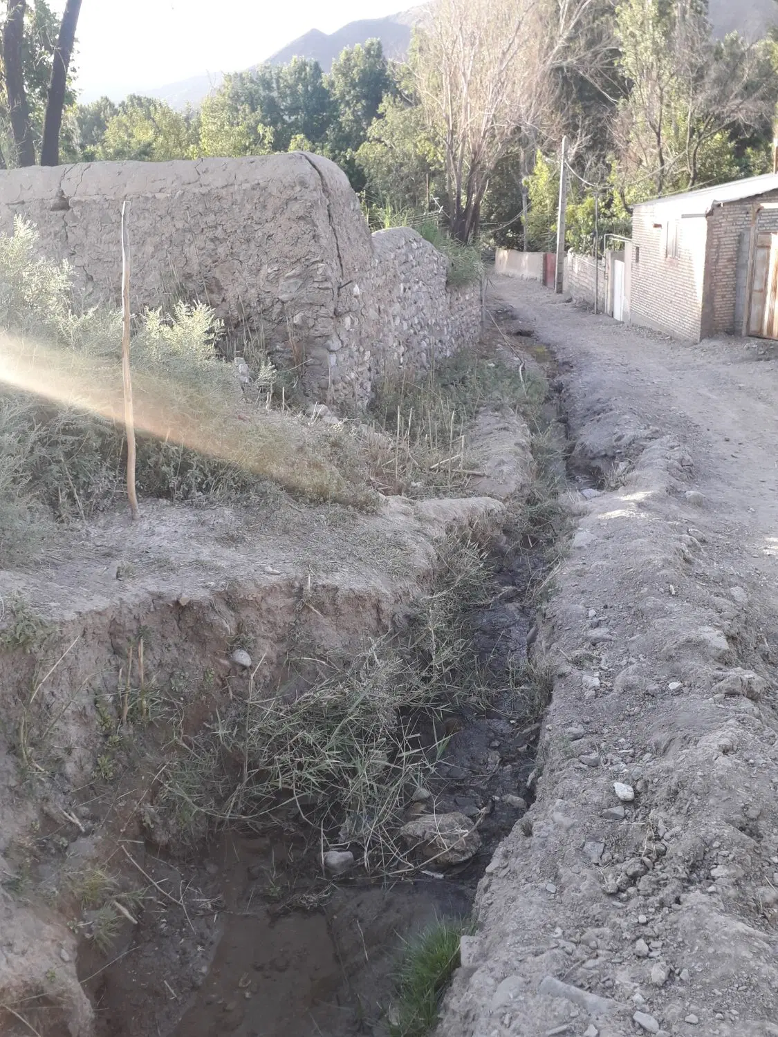 ۱۵ قصب زمین با جوی آب دایم در سیرچ