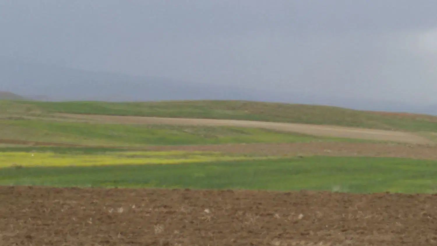 فروش زمین زراعی