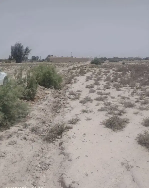 زمین فروشی در زابل میدان رستم بوم گردی اوشیدا