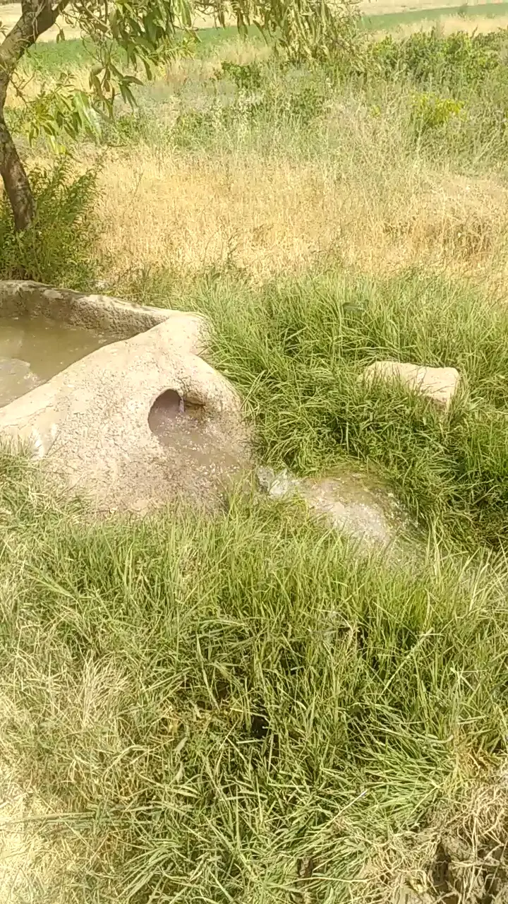 1500 متر باغ انگور فلکه آب تو باغ
