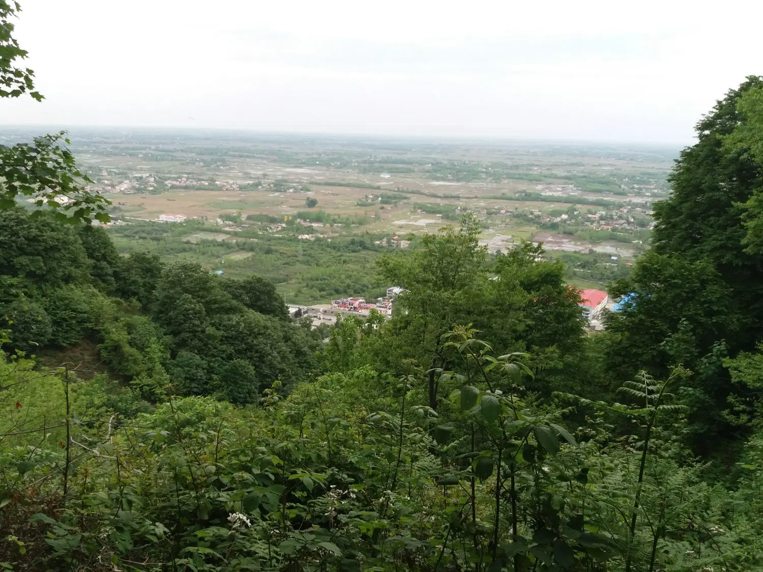 فروش زمین باغی
