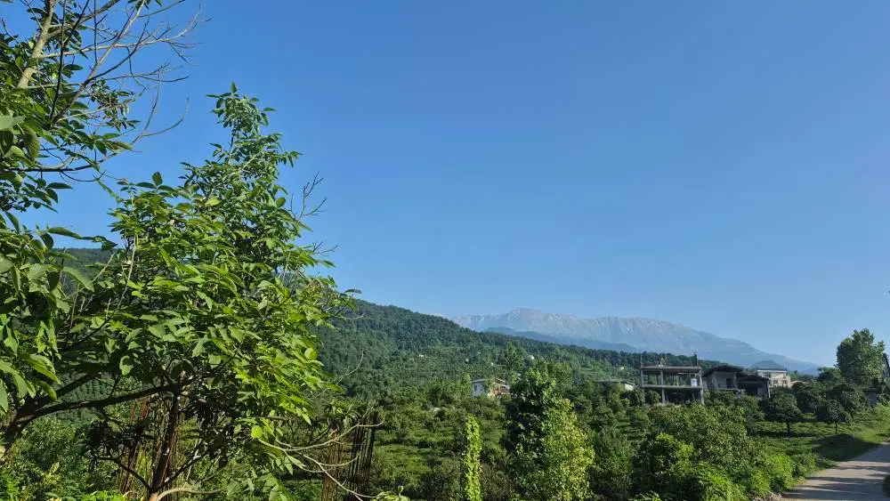۲۰ متر بر _ داخل بافت مسکونی _ فقط ۱.۵ میلیارد