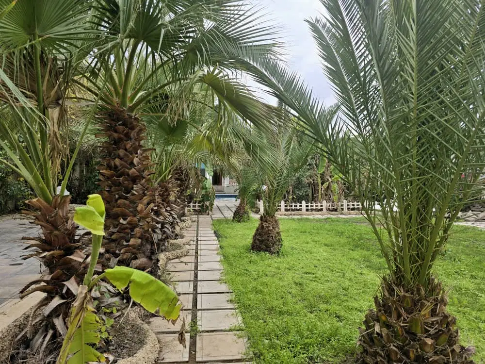 اجاره ویلا در دزفول قیمت مناسب تا لوکس