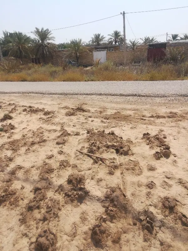فروش زمین در رمیله