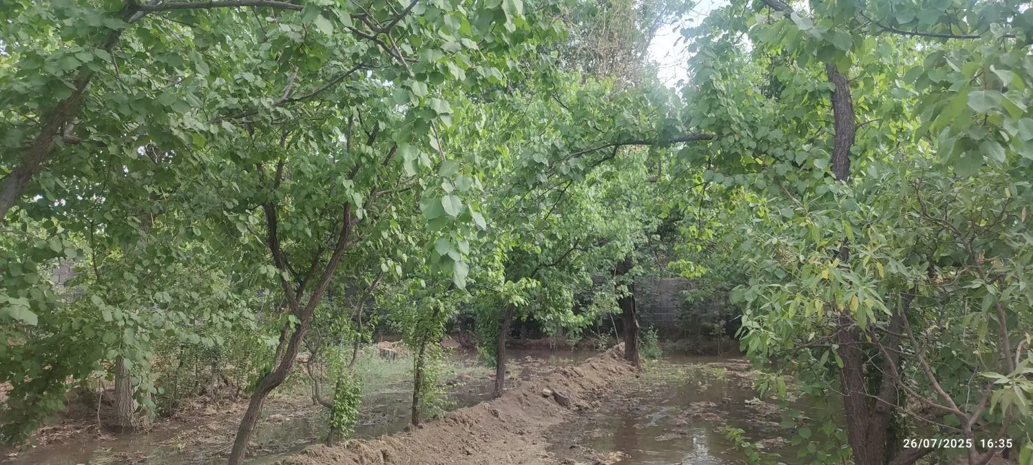 باغ در سنگستان