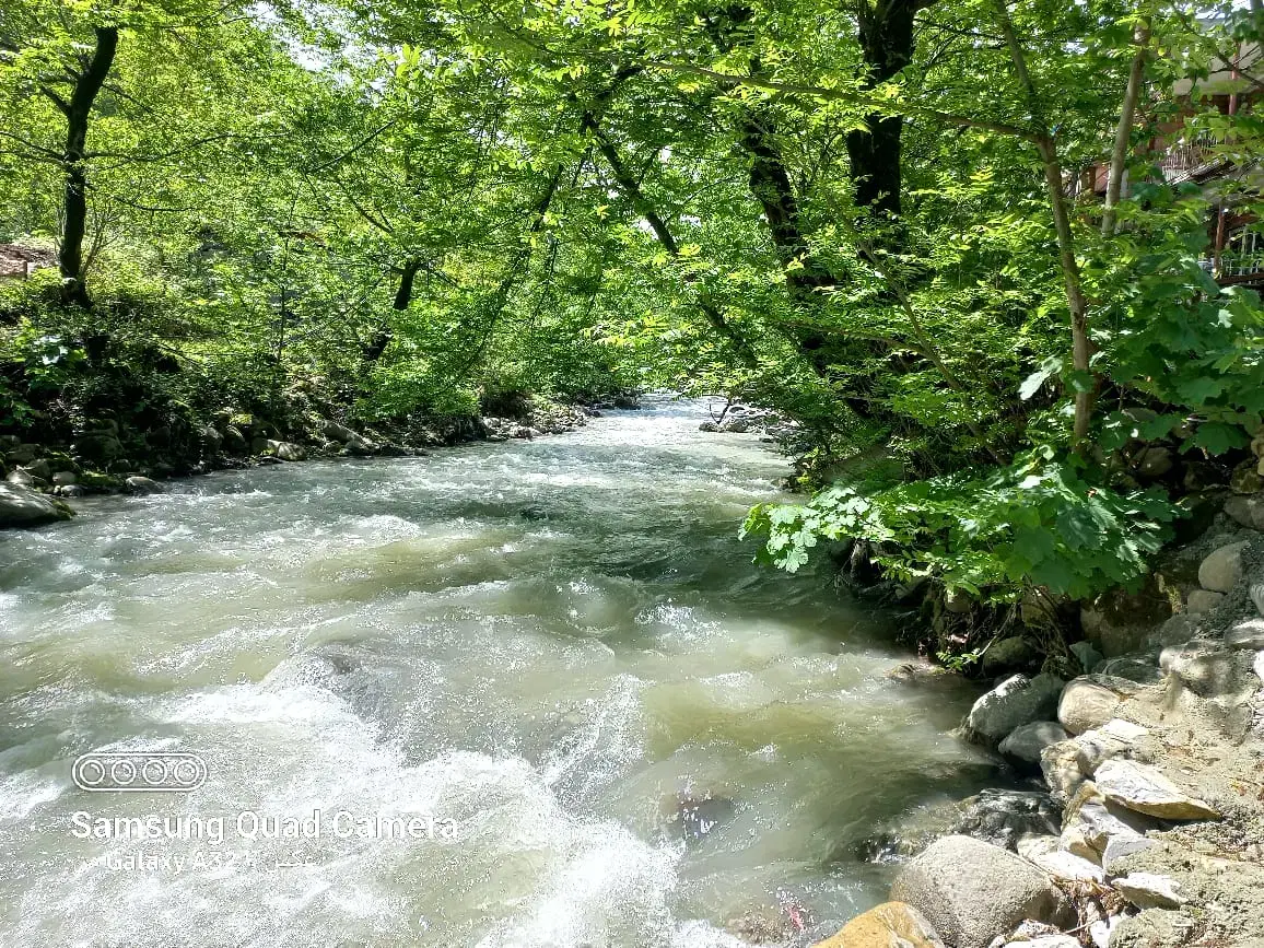 ویلا جنگلی کنار رودخانه
