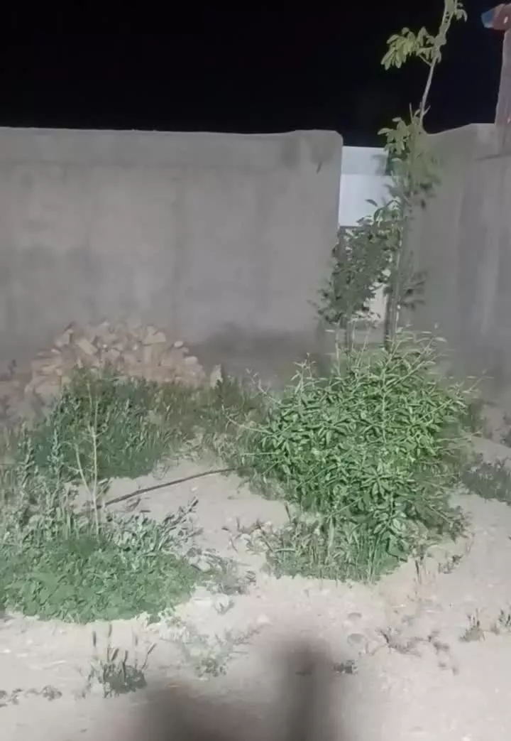 خانه ویلایی باغچه