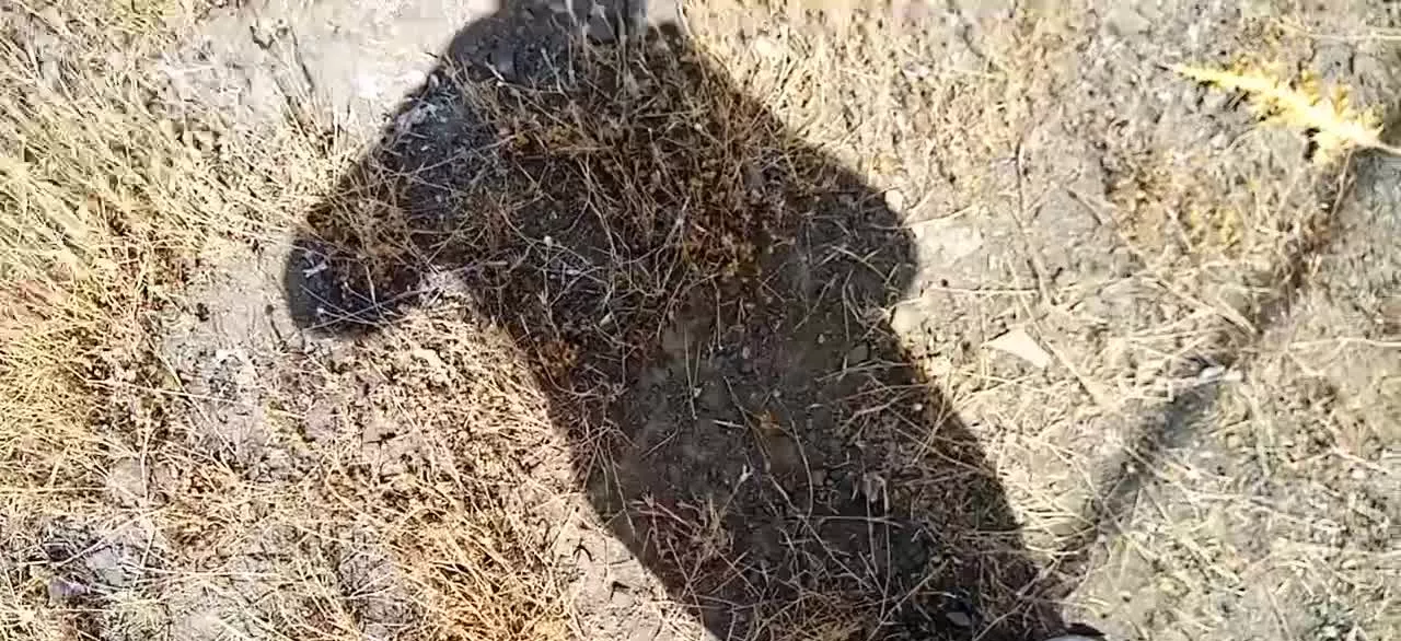 زمین آساوله