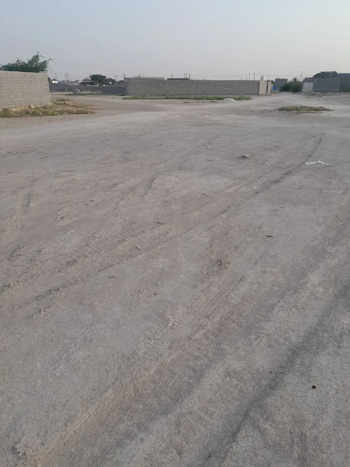 پنج هکتار