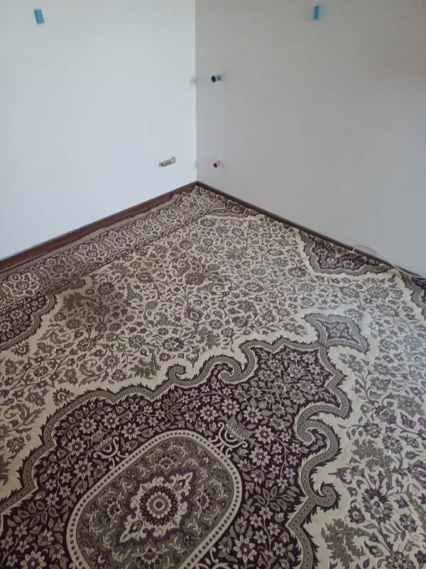 هم خونه ای خانم