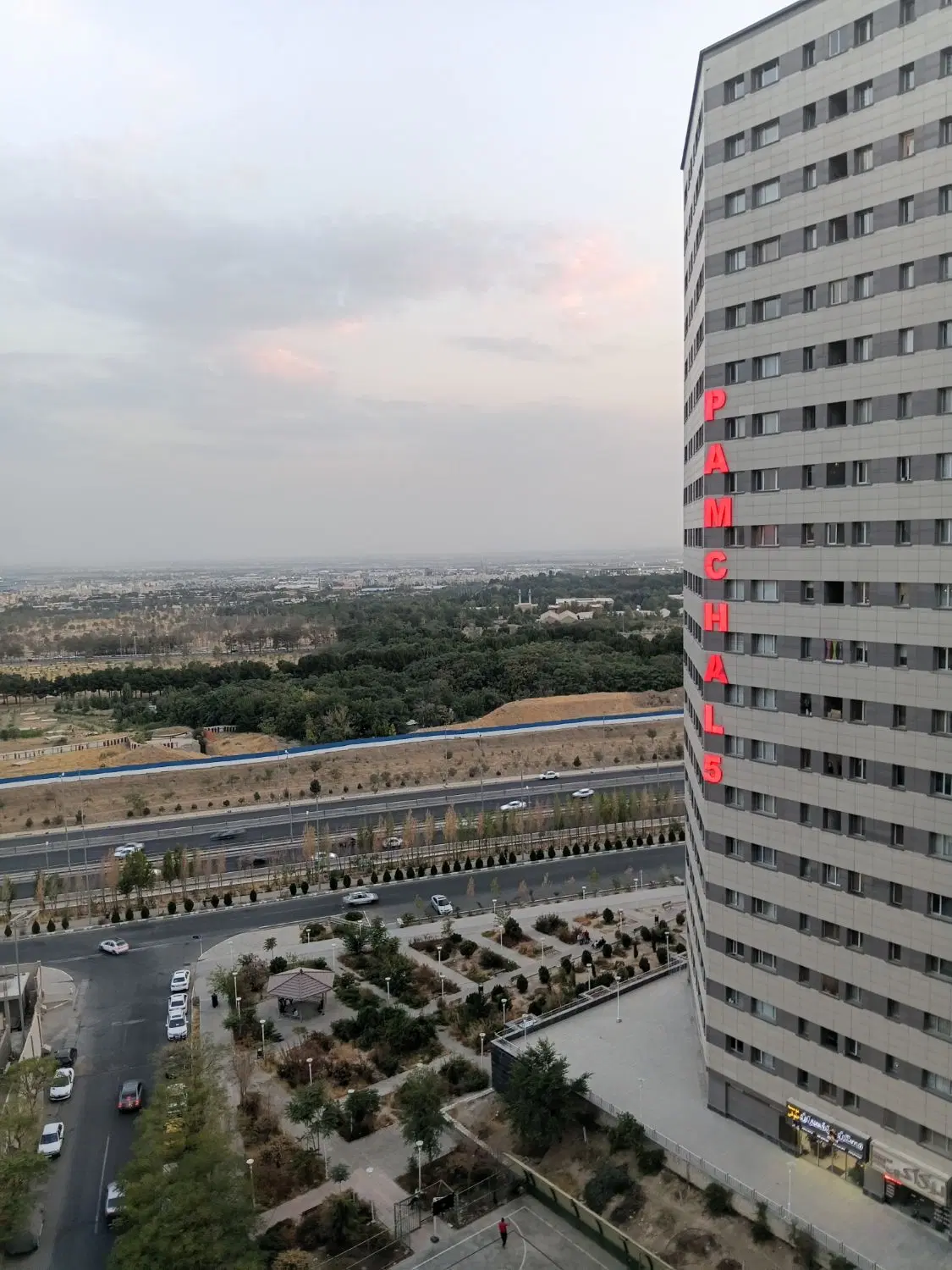 ارکیده   پامچال    ۸۴متر