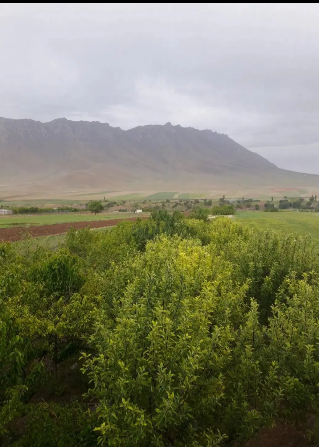 زمین در بهترین جای گوار